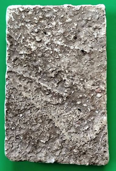 พระสมเด็จ วัดระฆัง บางขุนพรหม วัดเกศไชโย หลวงปู่ภู หลวงปู่นาค รูปที่ 3