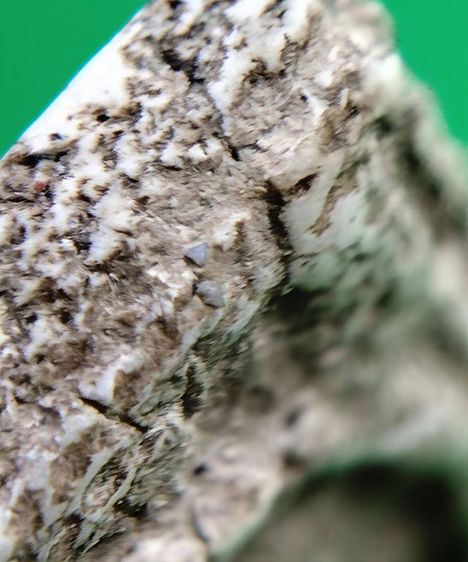 พระสมเด็จ วัดระฆัง บางขุนพรหม วัดเกศไชโย หลวงปู่ภู หลวงปู่นาค รูปที่ 6