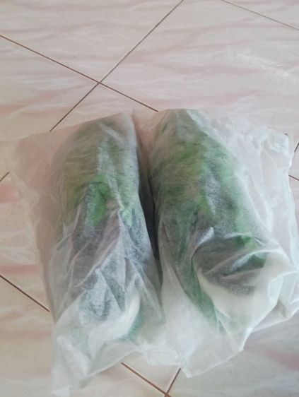 รองเท้าผ้าใบสีเขียวเนี้ยวทรัพย์ รูปที่ 7