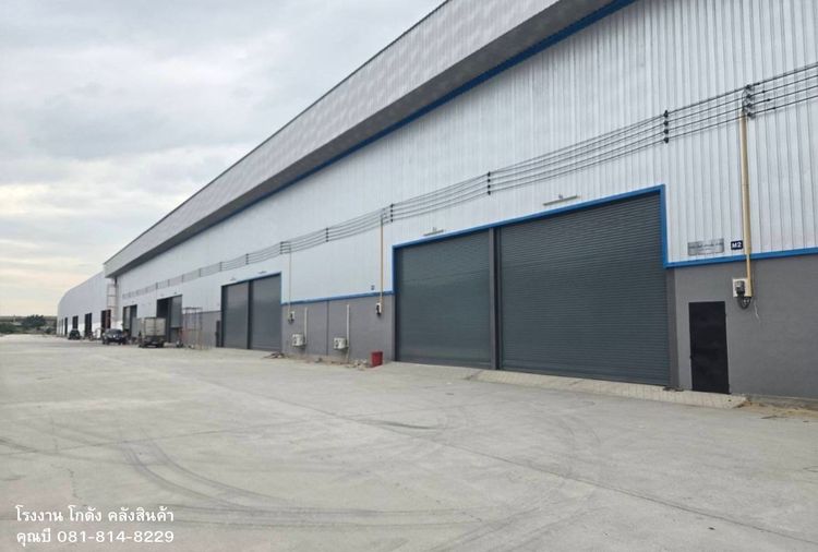 ให้เช่า โรงงาน โกดังใหญ่ คลังสินค้า ขนาดเริ่มต้น 100 ตรม. ถึง 8,000 ตรม. แถวแคราย คลองมะเดื่อ นาดี บางน้ำจืด จ.สมุทรสาคร  
