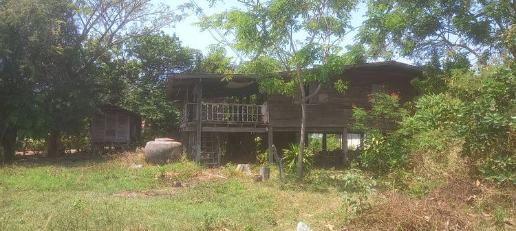 ขายบ้านไม้เก่าพร้อมเล้าหรือยุ้งข้าว