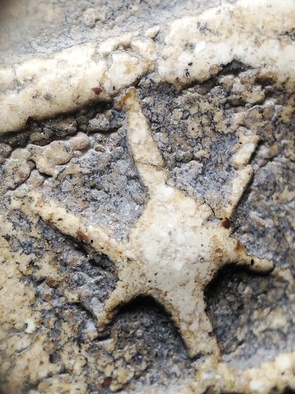 พระสมเด็จพิมพ์วัดเกศครับ รูปที่ 4