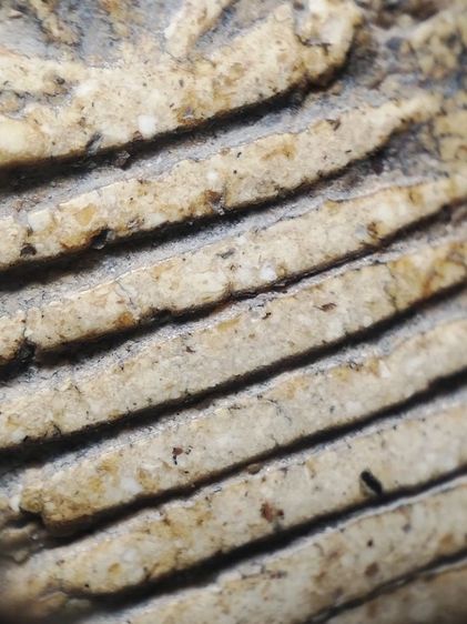 พระสมเด็จพิมพ์วัดเกศครับ รูปที่ 6