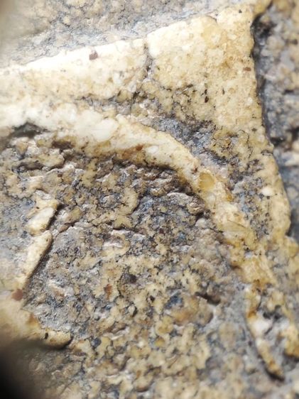 พระสมเด็จพิมพ์วัดเกศครับ รูปที่ 3