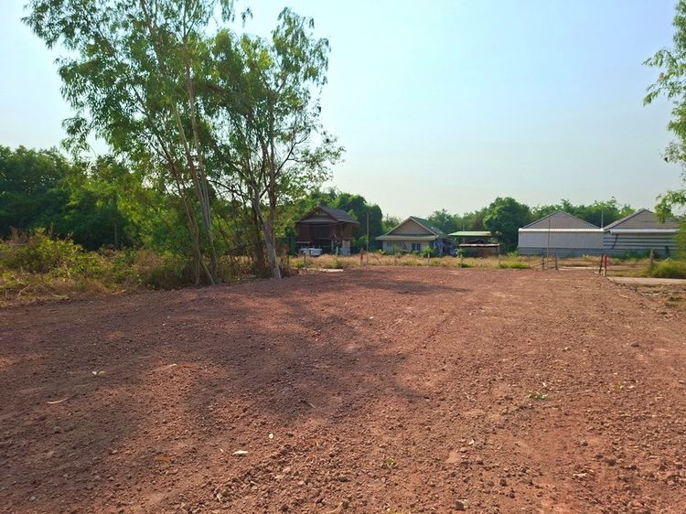 ขายที่ดิน 153 ตร.วา ทำเลดีใกล้บึงหนองโคต,มหาวิทยาลัยภาคฯและตลาดต้นตาล  รูปที่ 4