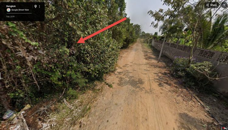 ที่ดินหนองจอก 194 วา รูปที่ 3