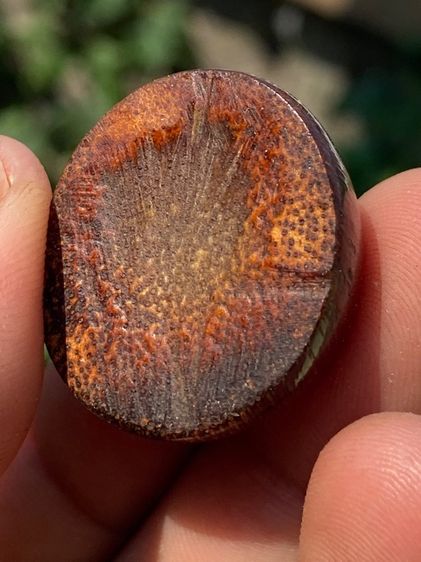 เครื่องราง รูปที่ 7