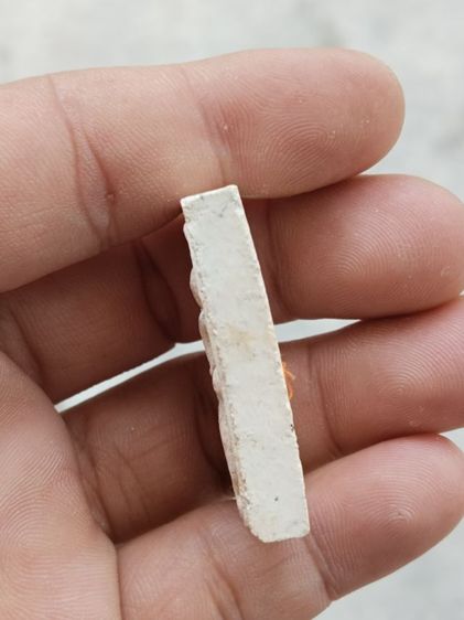 หลวงปู่ทิม รูปที่ 3