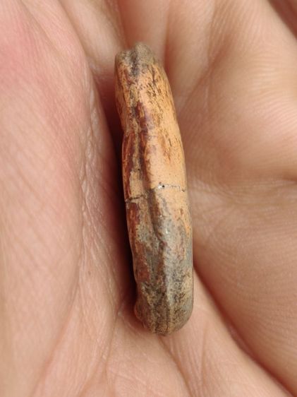 พระพุทธกวักกรุแสนตอ