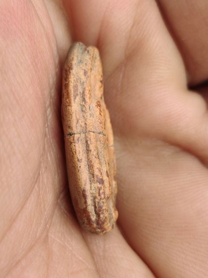 พระพุทธกวักกรุแสนตอ รูปที่ 2