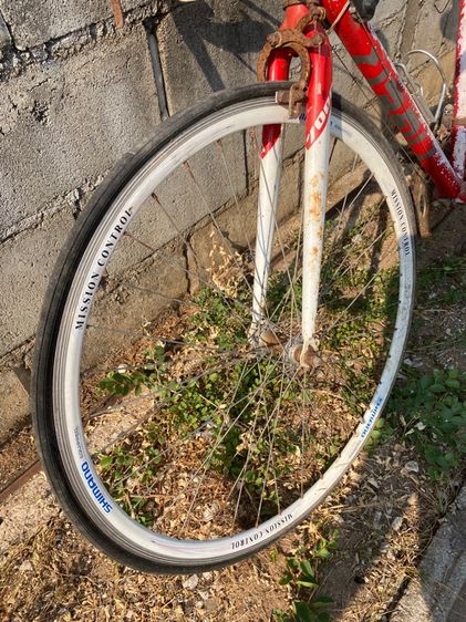 เสือหมอบวินเทจ เบา มือสองราคาถูก รูปที่ 3