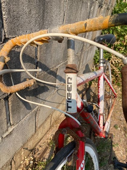 เสือหมอบวินเทจ เบา มือสองราคาถูก รูปที่ 2