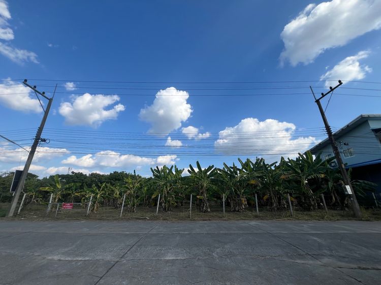 ขายที่ดิน รูปที่ 3