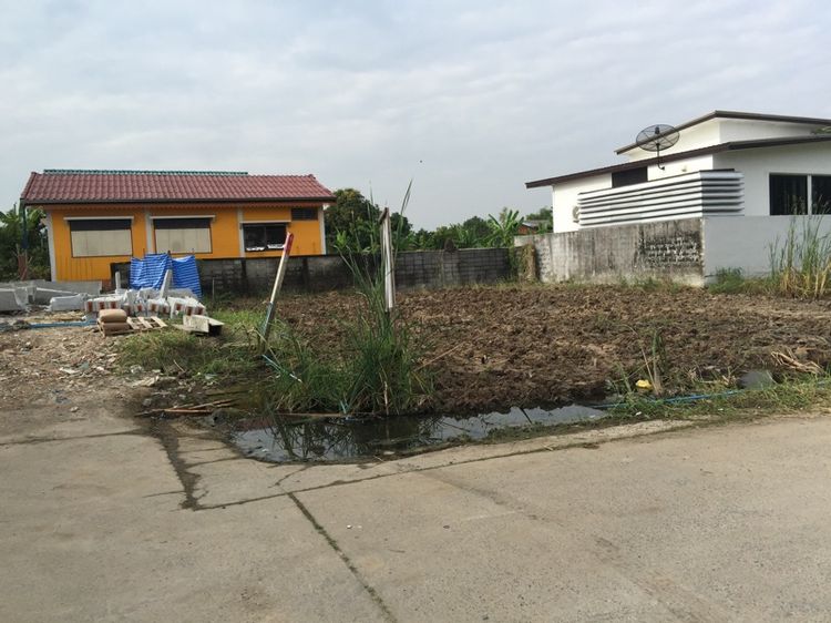 ใช่ ขายที่ดินรามคำแหง150กรุงเทพ รูปที่ 4