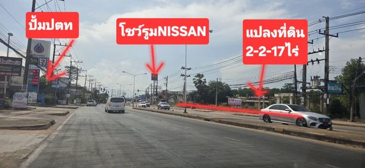 ขายที่ดินทำเลทองจังหวัดสุราษฎร์ธานี 2 ไร่ 2 งานติดถนนใหญ่อยู่ตรงข้ามปั๊มปตท. ขนส่งสุราษฎร์ธานีอยู่ใกล้โชว์รูมนิสสันเยื้องๆโชว์รูมเบนซ์