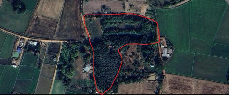 ขายที่ดิน 11 ไร่ สวนปาล์ม ทำเลดี ใกล้ชุมชนกุดจับ อุดรธานี รูปที่ 4