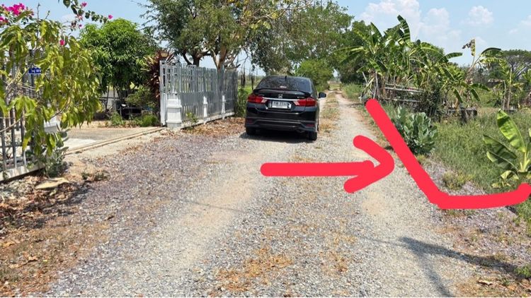 ที่ดินเปล่า รูปที่ 3