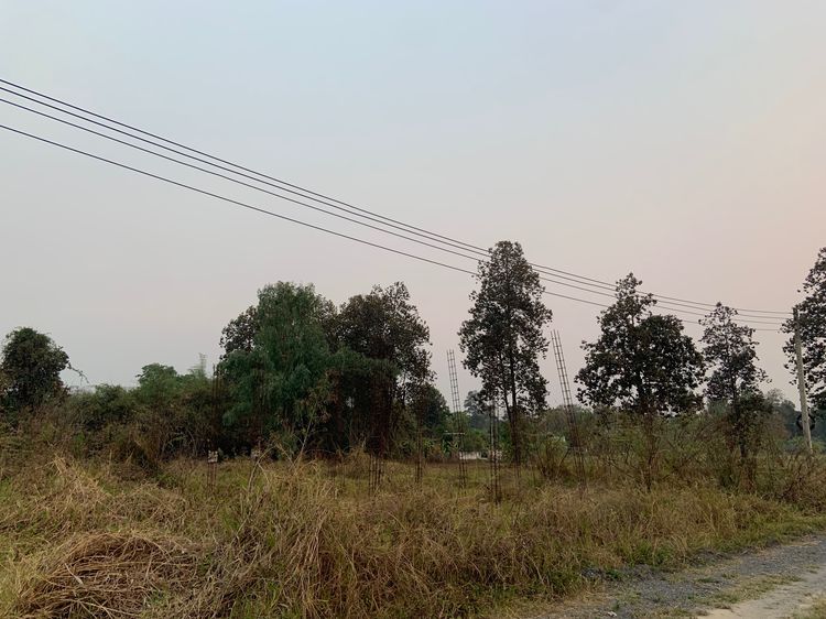 ขายที่ดินพร้อมแบบก้อสร้าง 71 ตารางวา ดอยสะเก็ด รูปที่ 3