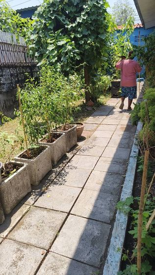 ใช่ บ้านพร้อมที่ดินย่านสตรีวิทย์2ซอย29 รูปที่ 4