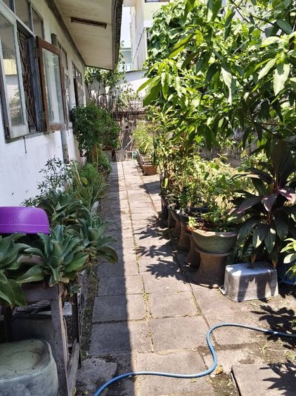 ใช่ บ้านพร้อมที่ดินย่านสตรีวิทย์2ซอย29 รูปที่ 3