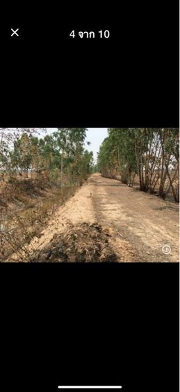 ที่นา 8ไร่2งาน รูปที่ 2