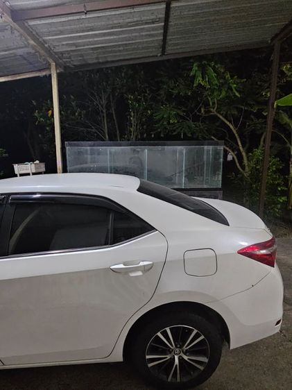 ตู้ปลา มือ2 (ขนาดใหญ่)  รูปที่ 8