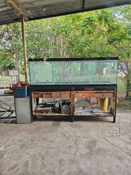 ตู้ปลา มือ2 (ขนาดใหญ่)  รูปที่ 4