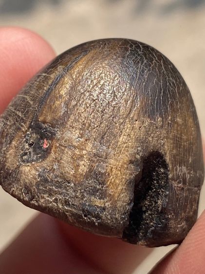 เครื่องราง รูปที่ 3