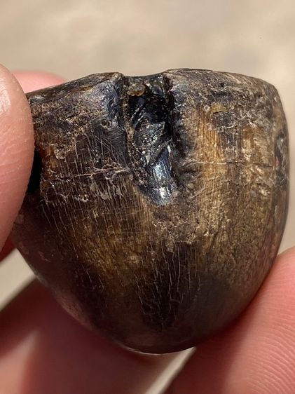 เครื่องราง รูปที่ 4