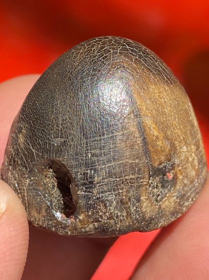 เครื่องราง รูปที่ 11