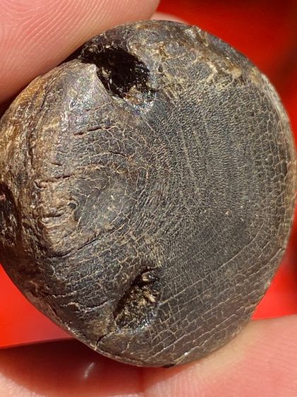 เครื่องราง รูปที่ 14