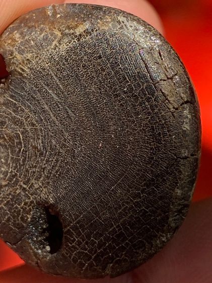 เครื่องราง รูปที่ 13