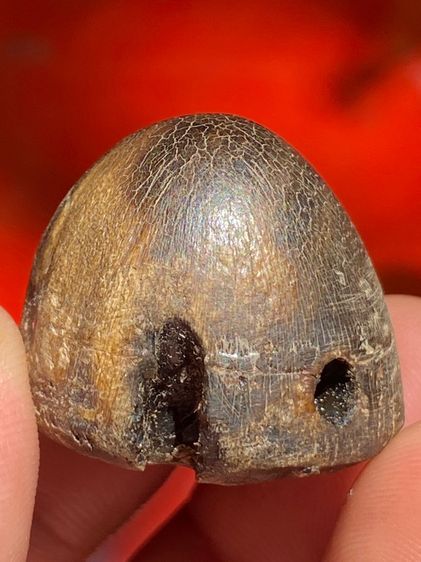 เครื่องราง รูปที่ 17