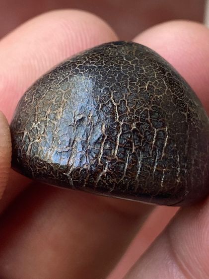 เครื่องราง ของแปลก รูปที่ 5