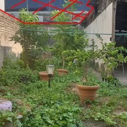 ขายที่ดิน ดินแดง-ห้วยขวาง(พร้อมสิ่งปลูกสร้าง) 97 ตร.วา รูปที่ 1