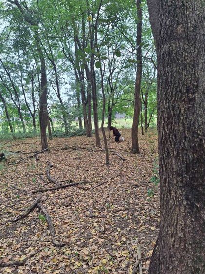 🌳 ขายที่ดินเปล่าผืนใหญ่ 110 ไร่ ติดถนนสายเอเชีย ทำเลศักยภาพสูง เหมาะพัฒนาโครงการขนาดใหญ่ รูปที่ 3