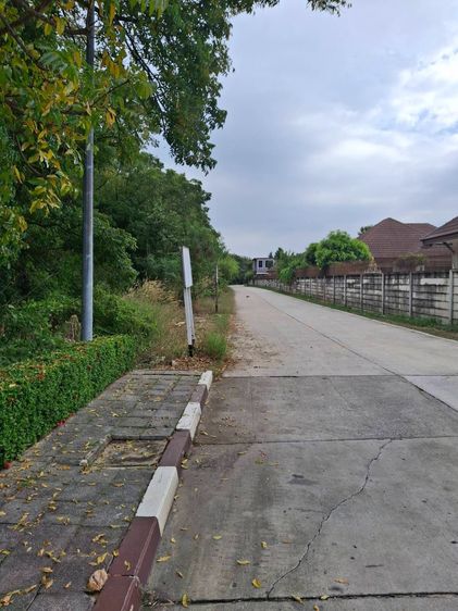 🌳 ขายที่ดินเปล่าผืนใหญ่ 110 ไร่ ติดถนนสายเอเชีย ทำเลศักยภาพสูง เหมาะพัฒนาโครงการขนาดใหญ่ รูปที่ 4