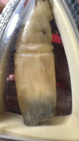 ปล่อยพระค่ะ รูปที่ 5