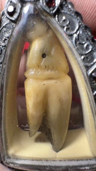 ปล่อยพระค่ะ รูปที่ 4