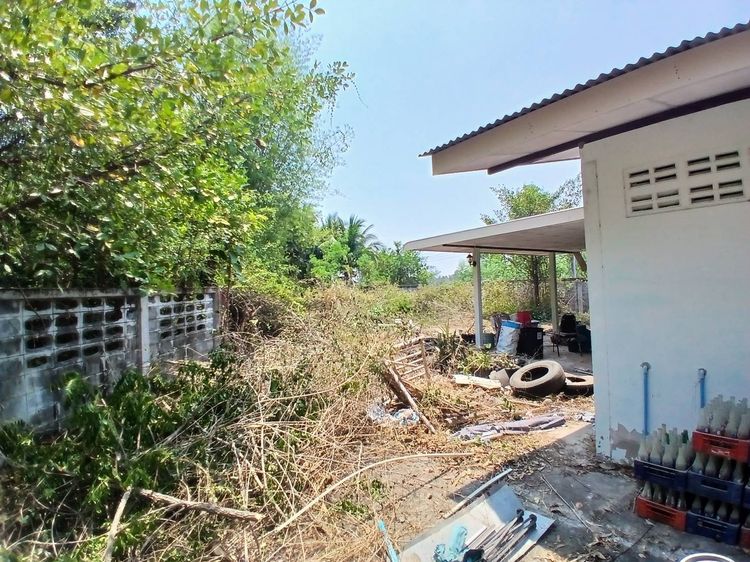 ไม่มี 2020 ขายบ้านพร้อมที่ดิน 3ห้องนอน 2ห้องน้ำ ขนาดที่ดิน 1ไร่ รูปที่ 3