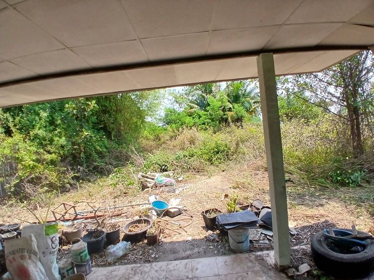 ไม่มี 2020 ขายบ้านพร้อมที่ดิน 3ห้องนอน 2ห้องน้ำ ขนาดที่ดิน 1ไร่ รูปที่ 4