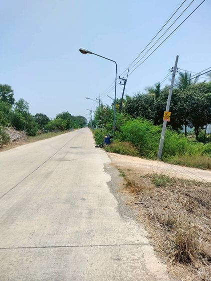 ขายถูกที่ดิน 400 ตรว เหมาะสร้างบ้านสวน ต.คลองควาย อ.สามโคก จ.ปทุมธานี  