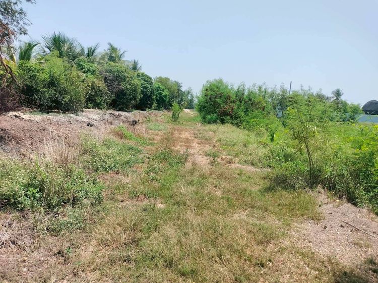 ขายถูกที่ดิน 400 ตรว เหมาะสร้างบ้านสวน ต.คลองควาย อ.สามโคก จ.ปทุมธานี รูปที่ 3