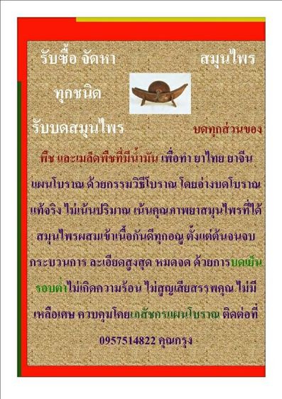 รับซื้อ จัดหาสมุนไพรทุกชนิด
รับบดสมุนไพร บดทุกส่วนของพืช และเมล็ดพืชที่มีน้ำมัน เพื่อทำ ยาไทย 