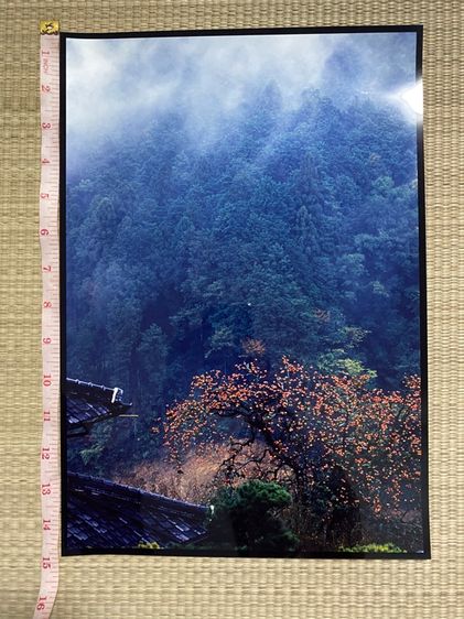 ภาพถ่ายฟิล์มเก่า รูปที่ 5