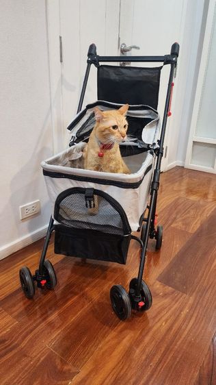 รถเข็นสัตว์เลี้ยง ใหม่เอี่ยม ของพร้อมส่ง รูปที่ 3