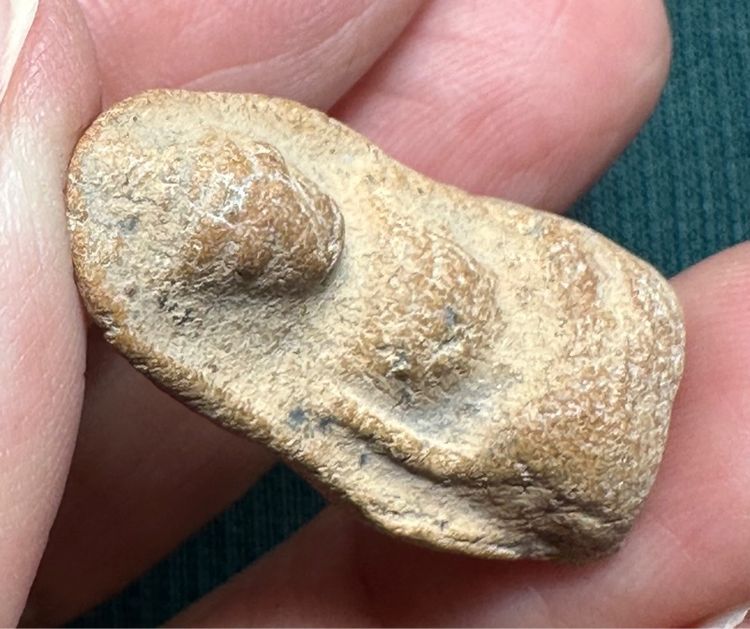 องค์ละ1000 🙏พระซุ้มกอพิมพ์เล็ก🙏พระถ้ำเสือ🙏พระซุ้มกอพิมพ์ใหญ่ รูปที่ 11