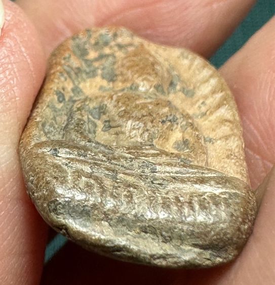 องค์ละ1000 🙏พระซุ้มกอพิมพ์เล็ก🙏พระถ้ำเสือ🙏พระซุ้มกอพิมพ์ใหญ่ รูปที่ 6