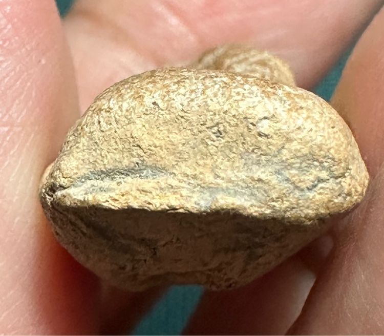 องค์ละ1000 🙏พระซุ้มกอพิมพ์เล็ก🙏พระถ้ำเสือ🙏พระซุ้มกอพิมพ์ใหญ่ รูปที่ 12