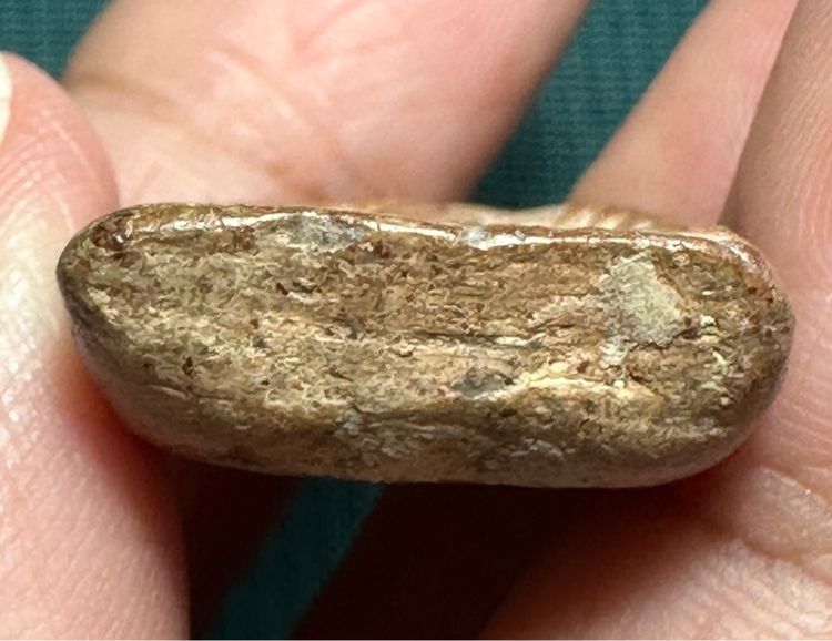 องค์ละ1000 🙏พระซุ้มกอพิมพ์เล็ก🙏พระถ้ำเสือ🙏พระซุ้มกอพิมพ์ใหญ่ รูปที่ 18